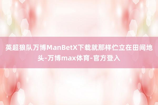英超狼队万博ManBetX下载就那样伫立在田间地头-万博max体育-官方登入