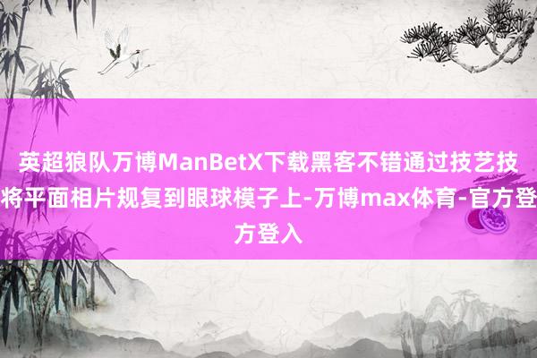 英超狼队万博ManBetX下载黑客不错通过技艺技能将平面相片规复到眼球模子上-万博max体育-官方登入