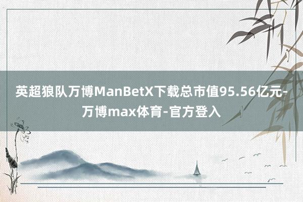 英超狼队万博ManBetX下载总市值95.56亿元-万博max体育-官方登入